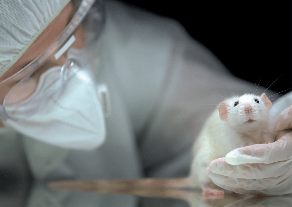 how the flawed rat park experiment launched the drug war